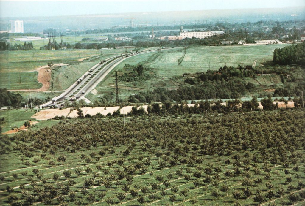 Марфинские яблоневые сады в 1970